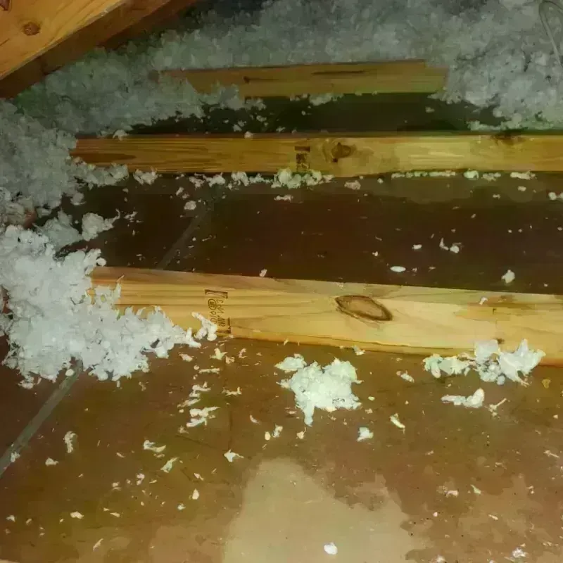 Attic Water Damage in Walker, MN