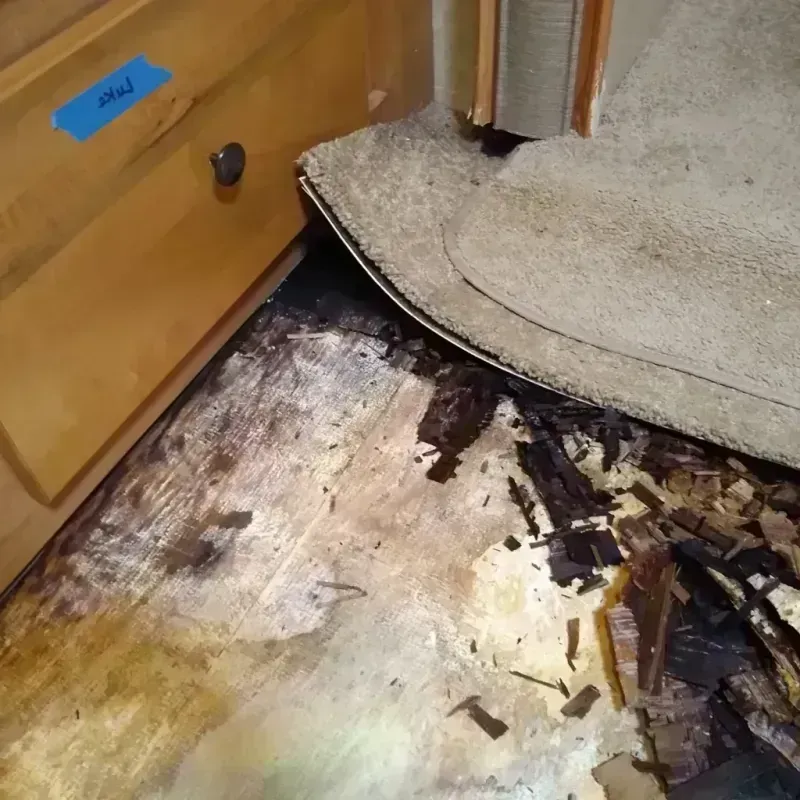 Best Wood Floor Water Damage Service in Walker, MN